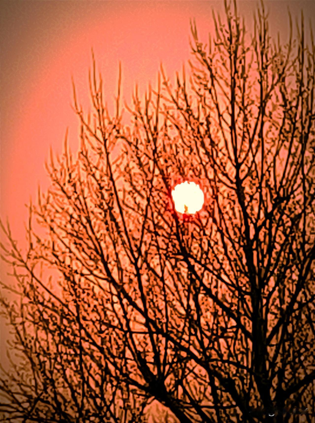 非常有必要，现在全国哪一个城市地面交通，都呈现不同程度的拥堵现象！长春更是网民