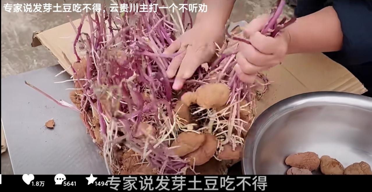 有人说，云贵川对于发芽的马铃薯，主打一个不听劝！都是一副“能不能吃我还不知道吗？