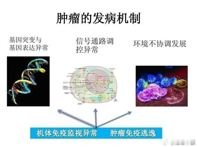 肝癌早期症状特点：1，肝区疼痛：并呈持续性隐痛、胀痛或刺痛，劳累后加重。2，肝进