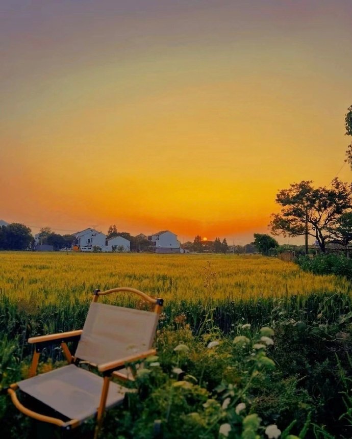 “夕阳无限好”​​​