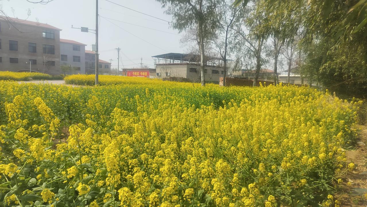 人的一生最大的财富是什么?人的一生最大的财富是什么？有人觉得是钱，有人觉得