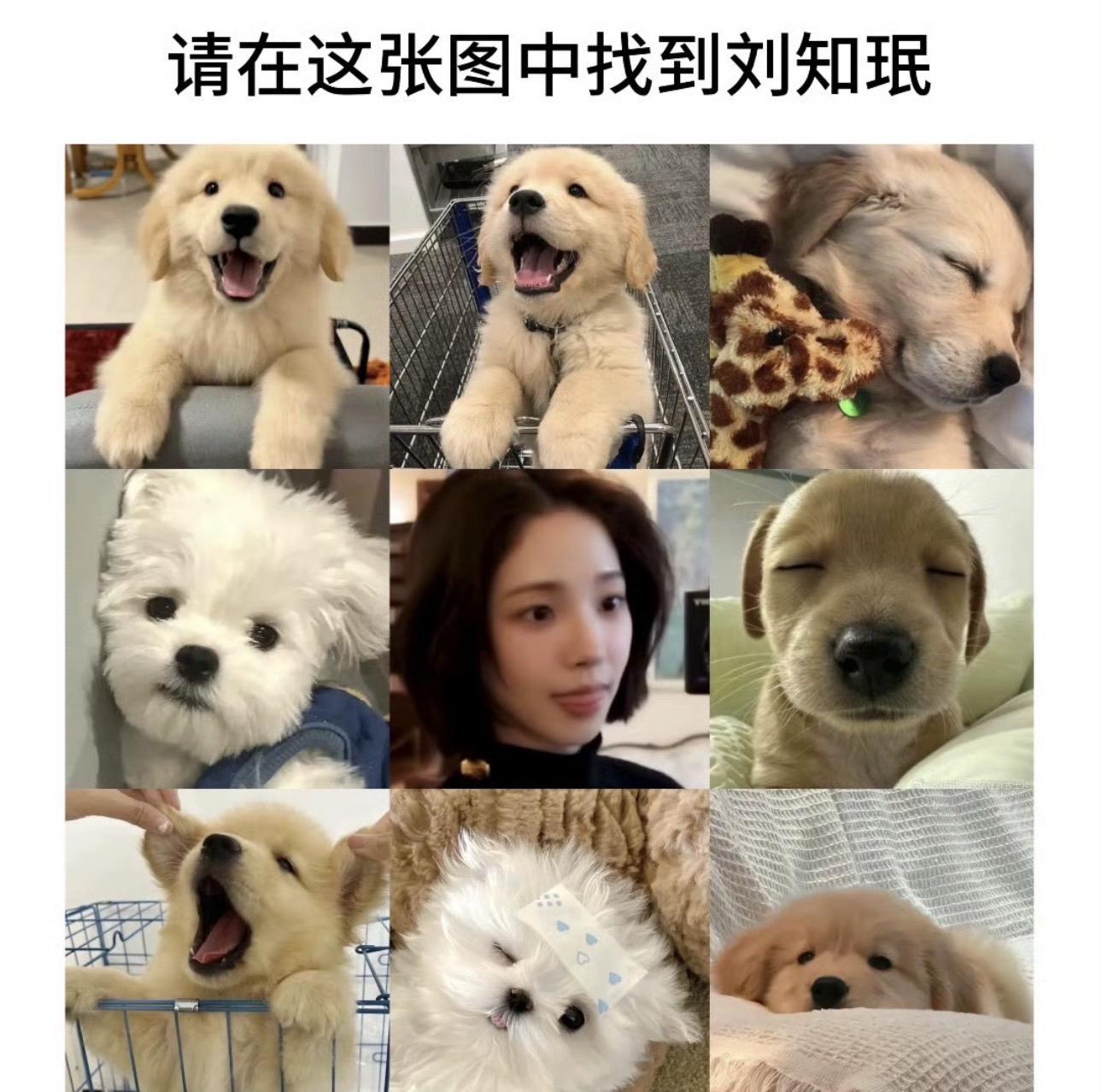 美女都是雷同的