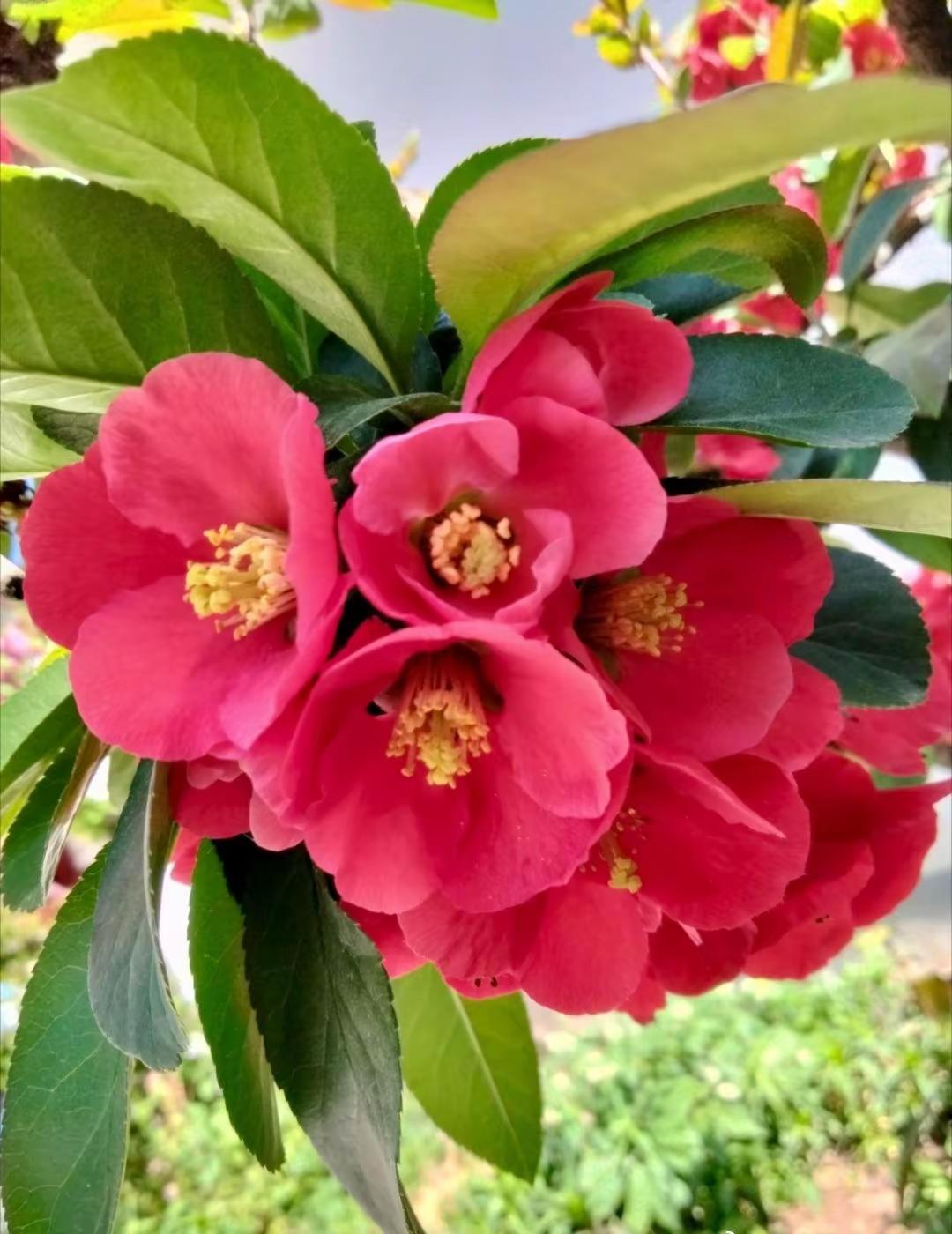 改掉不良饮食习惯，养出好身体一、戒掉「吃太快」的急脾气，给肠胃留活路