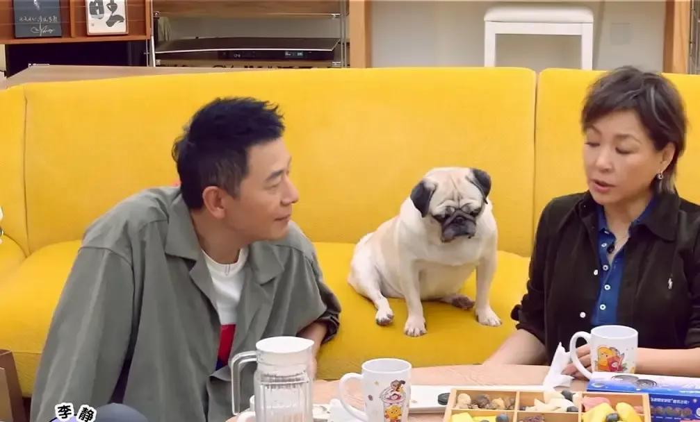 在娱乐圈少有的深厚友情中，李静和戴军的关系，似乎早已超越合作伙伴的范畴。当李静