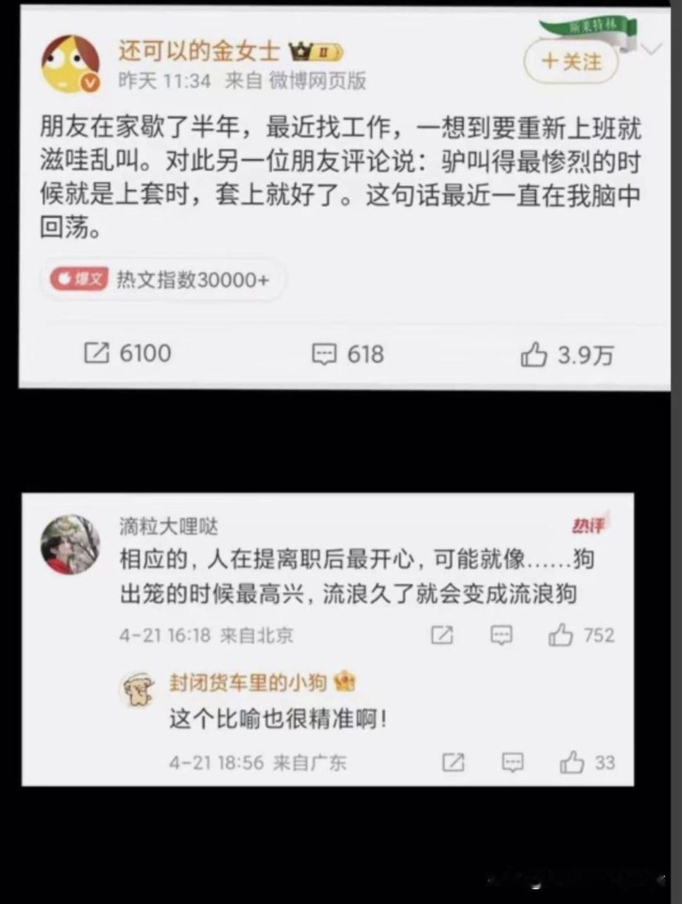 我离职时咋没有这么高兴，想的只有接下来的钱能撑多久