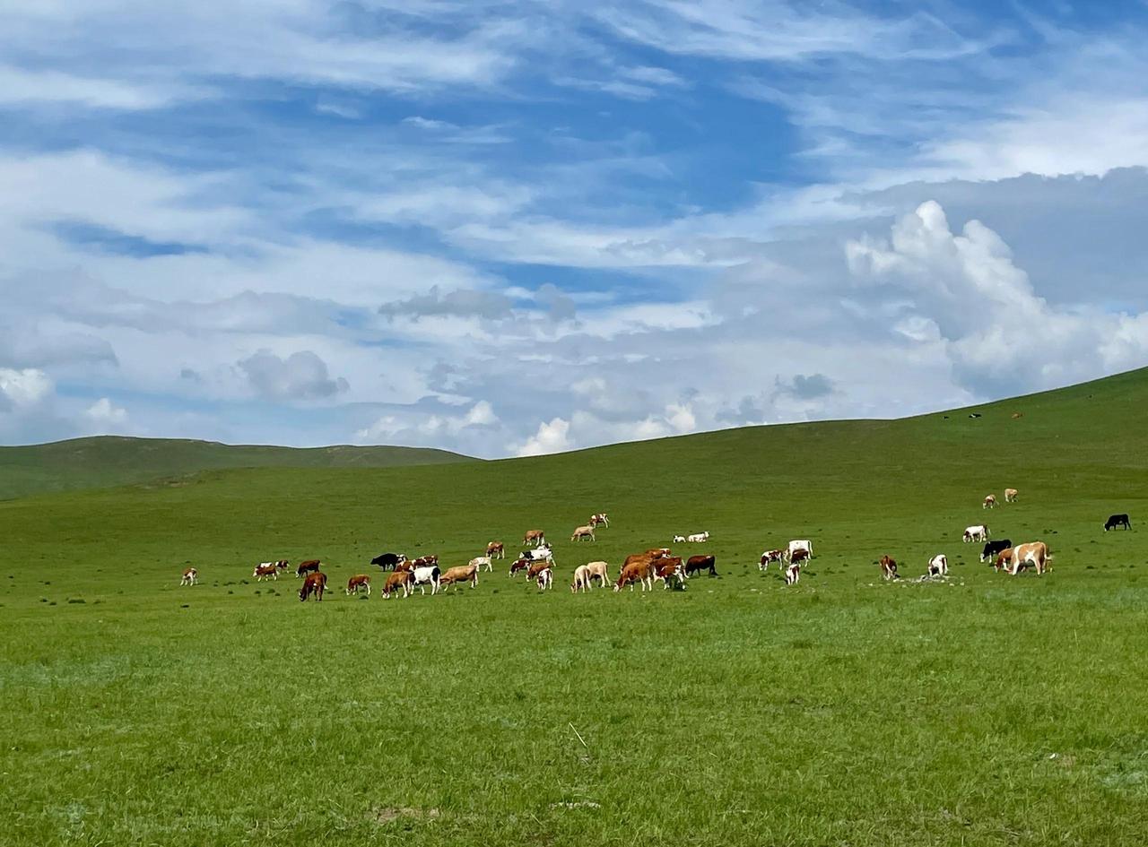 赤峰1月财政收入接近二十亿！2026年1月，赤峰全市一般公共预算收入19.4