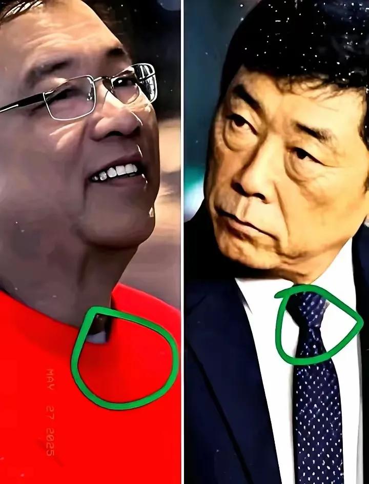 不知道那个是比亚迪和长城的老板，但看光看面相，一个面相友善，一个面相阴鸷，不知道