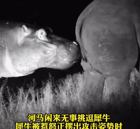救命吧我笑点怎么变得这么离奇了。我能不能别再刷这种巨弱智的东西了。​​​