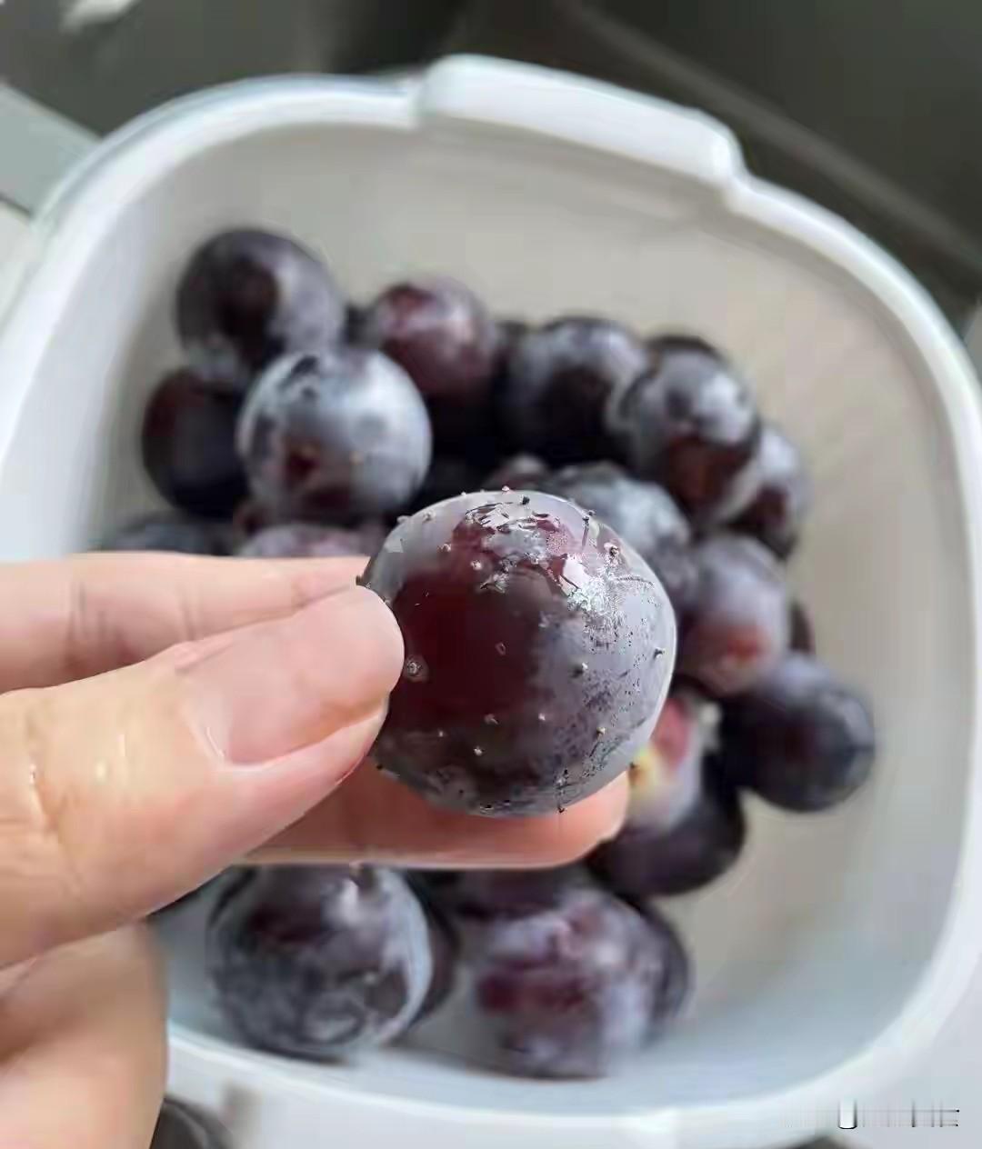 近期，这种葡萄大量出现，千万不要随便给老人和孩子吃！夏秋之交，葡萄大量上市，