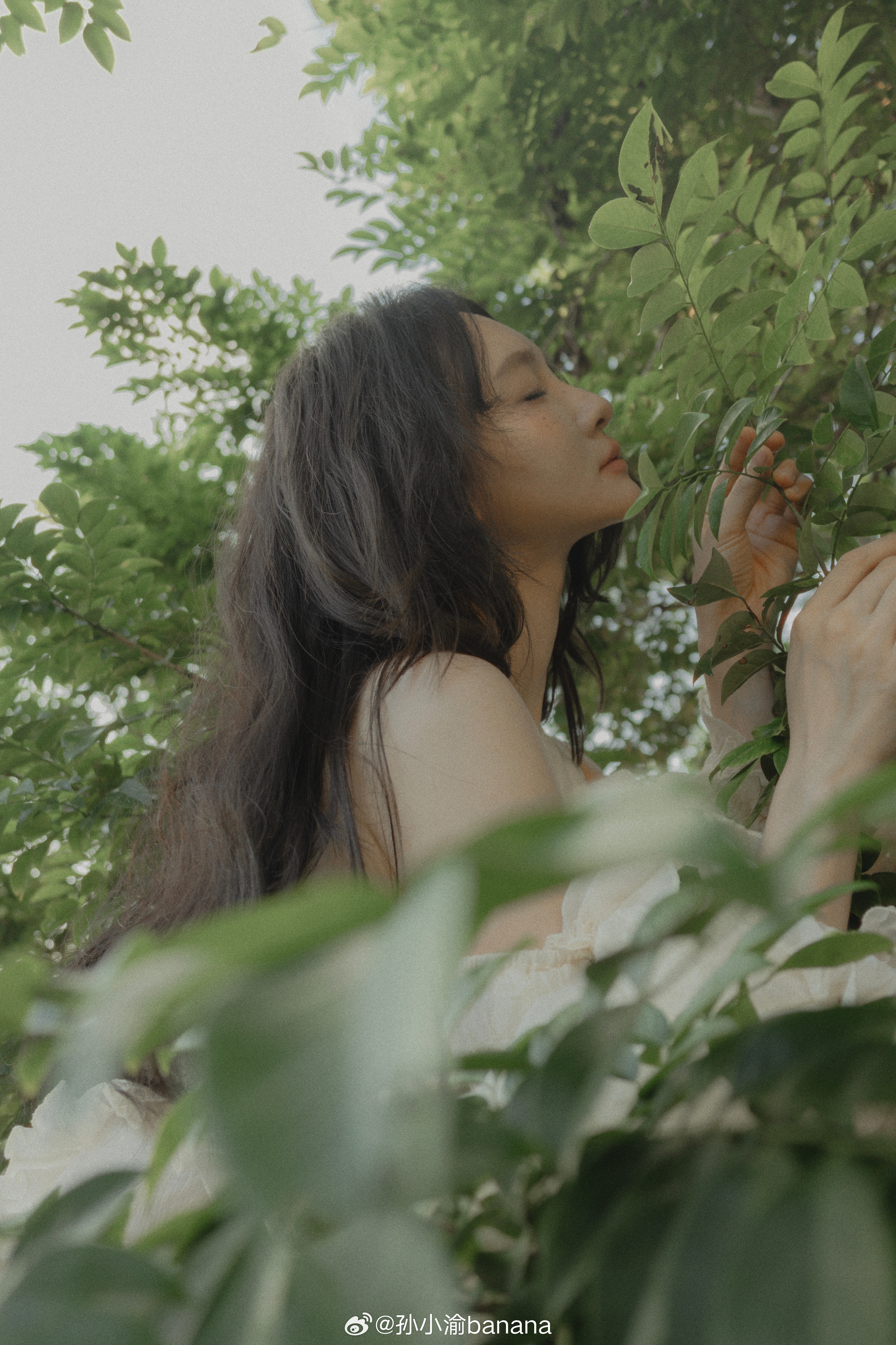 生命是一万次的春和景明当下就是永恒少女写真生命​​​