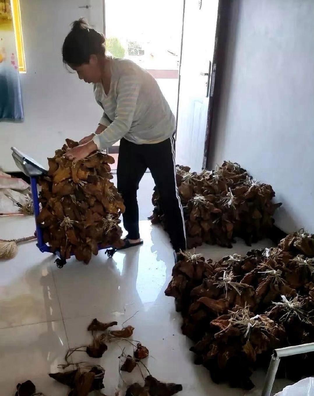 这才是真正的大户人家，太让人羡慕了