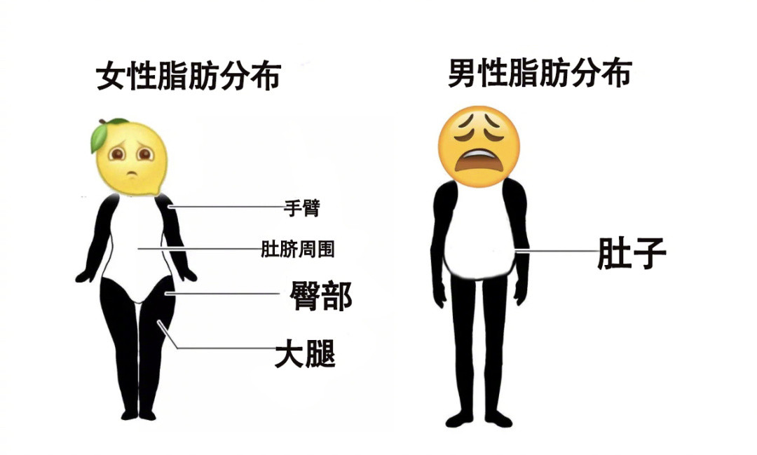 硬核研究所【为什么男生的腿大多细长直】为什么男生的腿大多“细长直”?多是因为“