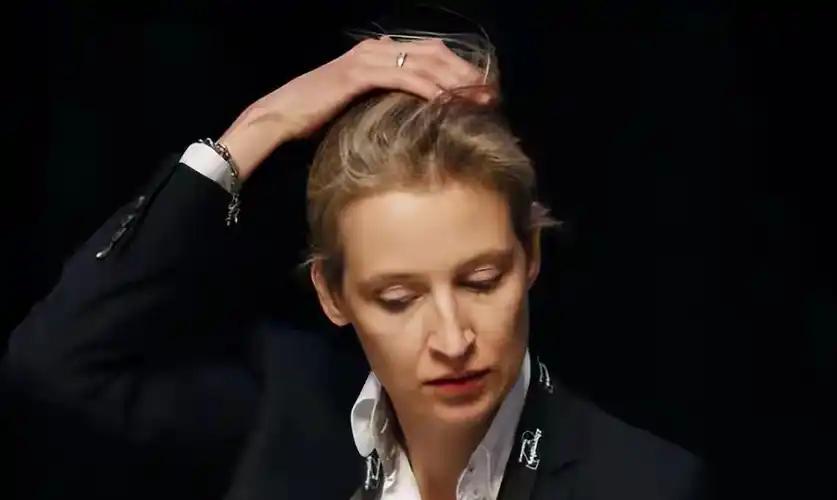 前阵子，跟前东德那边的朋友唠嗑，人家张口就是魏德尔是"另一条路子"！全球化愣