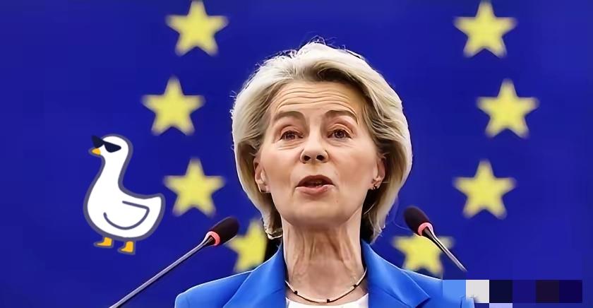 欧盟消息欧盟委员会主席冯德莱恩就欧盟国家能源成本高昂的原因发表声明。她说，由于