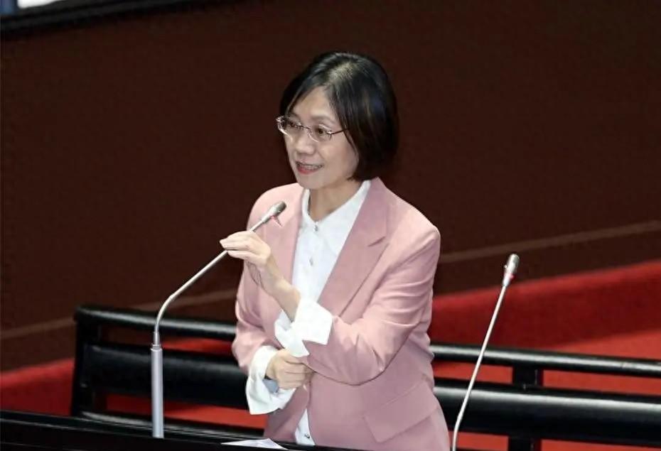 【一切都是政治算计？“大法官”审查投票定在大罢免前一天，蓝营发声】台民意机构本