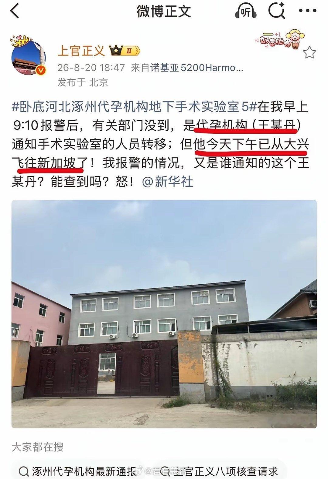 上官正义卧底大半年接二连三的举报，接二连三的扑空，主要负责人赶脚飞新加坡。扫黑除