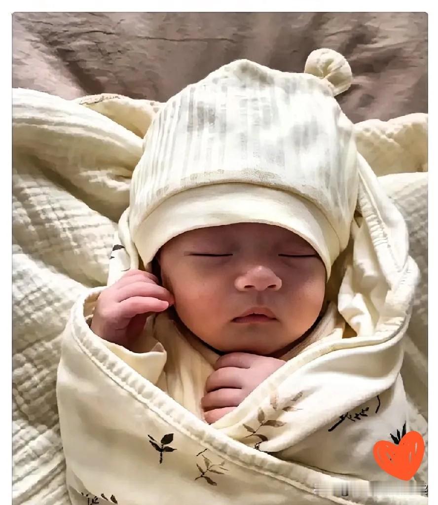 亲爹要送人，姑姑扛下所有，这才是最痛的人间真实陕西一位妈妈拼尽全力生