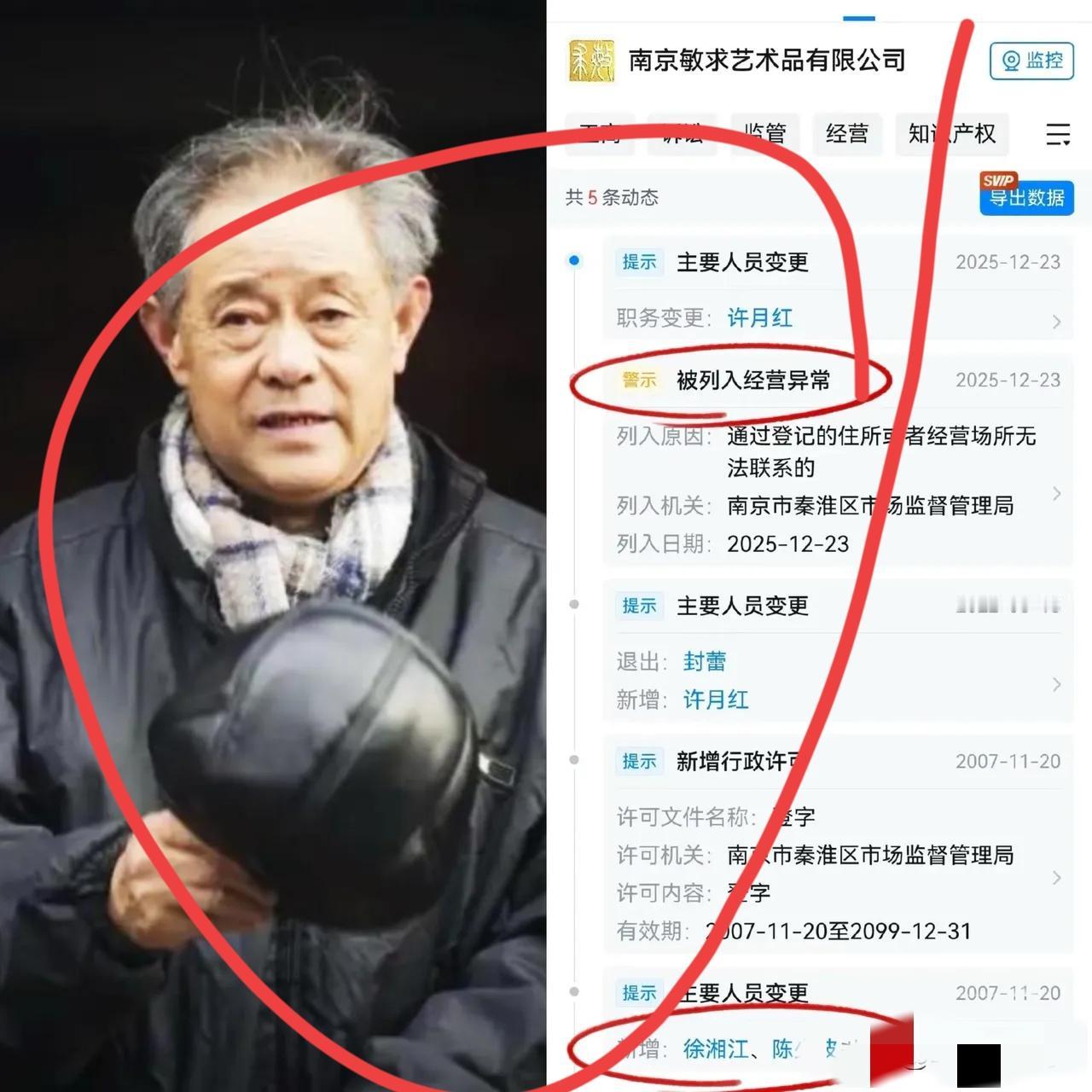 这事闹得挺大，南博前院长徐湖平12月23号被带走调查，当天中午照片都传疯了，在他