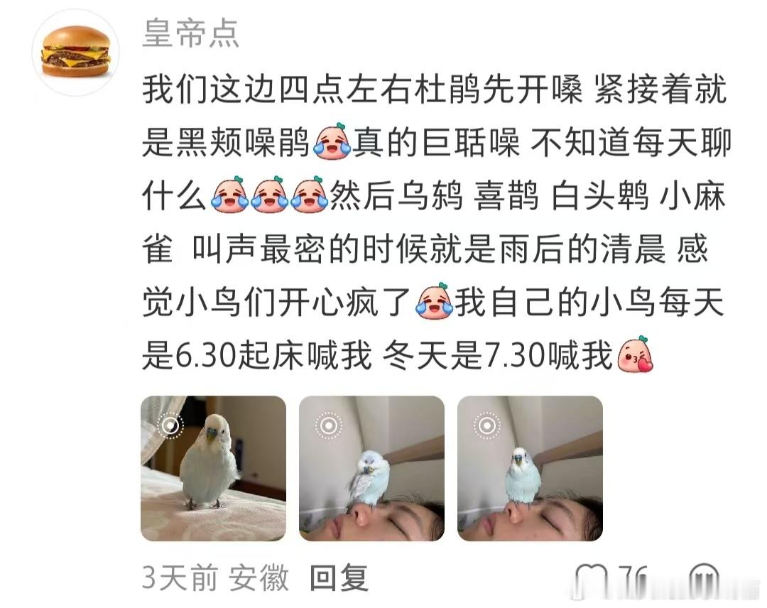 关于我意外发现鸟的起床时间