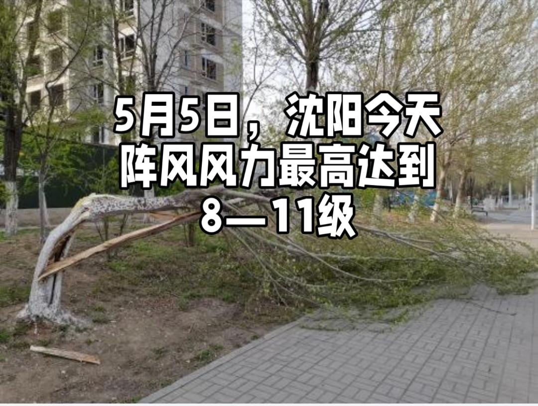 根据最新权威气象信息，2026年5月5日沈阳市出现了大风天气，风力等级达到6~7