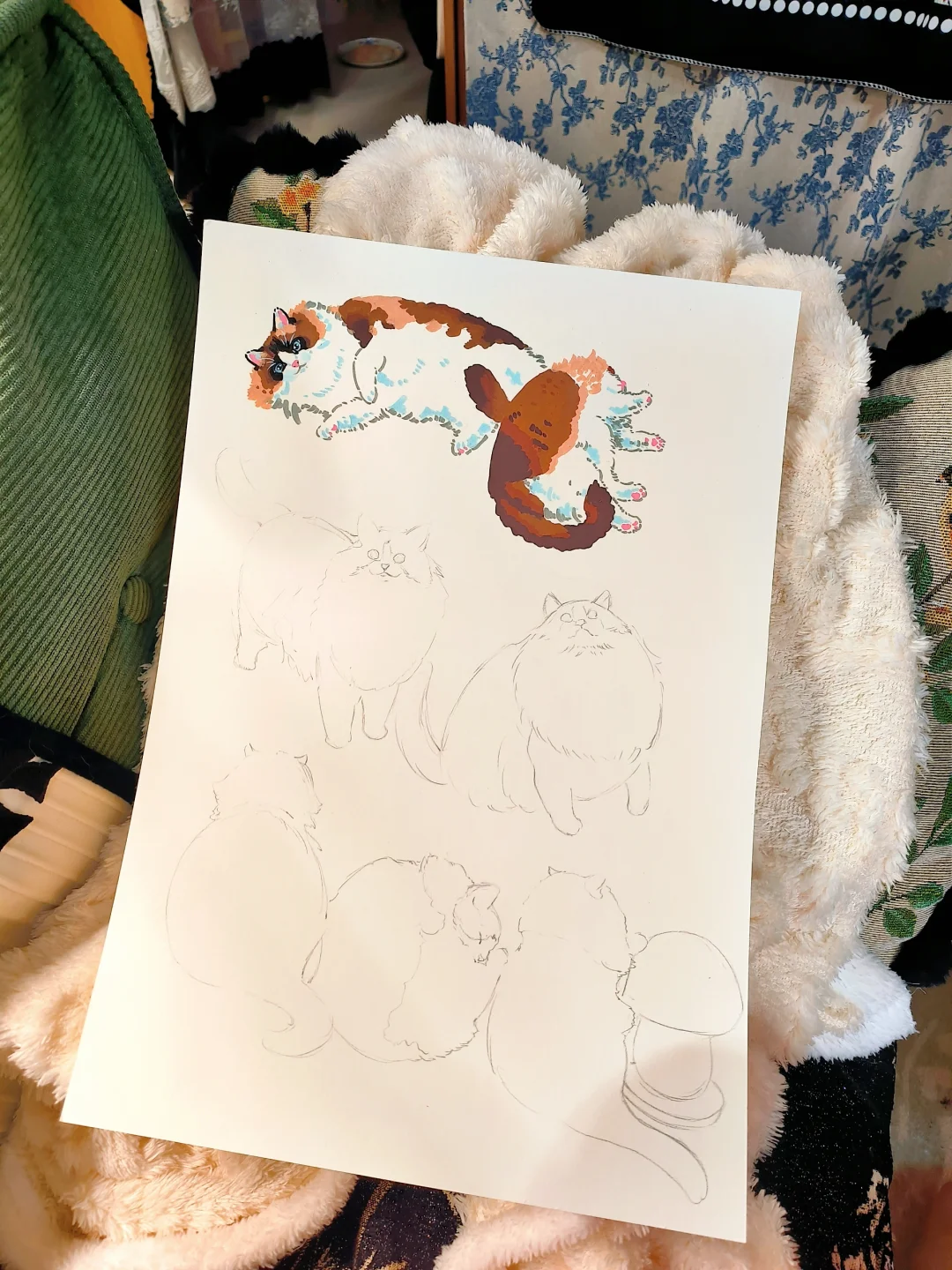 世界不能没有小猫!