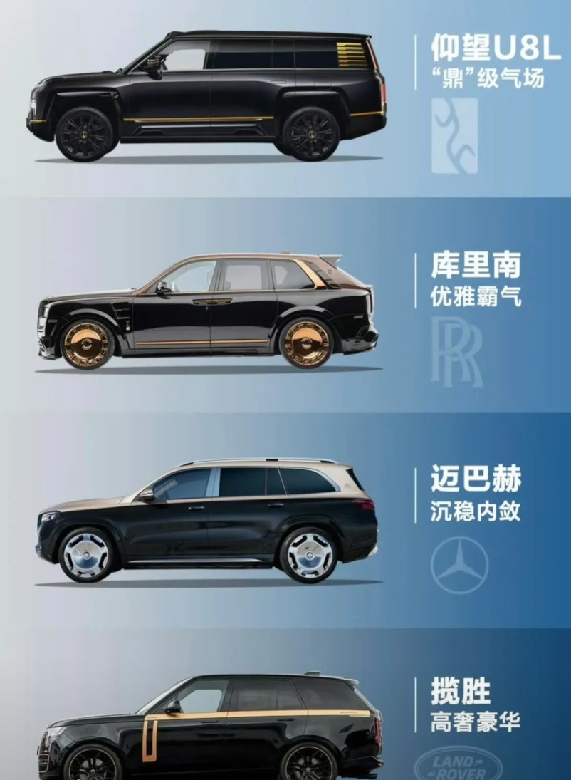 九月份大概仰望U8L就要和哥几个同场竞技了。外观，技术角度是没什么问题的。知
