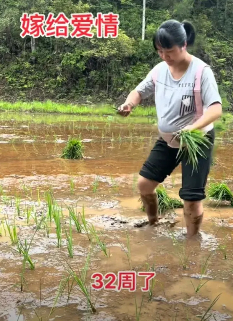 32周的孕妈下田插秧，这是嫁给爱情的模样！这才是真正的农妇形象啊。老公外出打工去