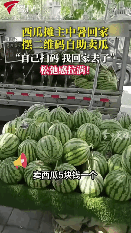 四川这位卖西瓜的大哥，真的把川人刻在骨子里的松弛感玩明白了。35℃的大太阳底下