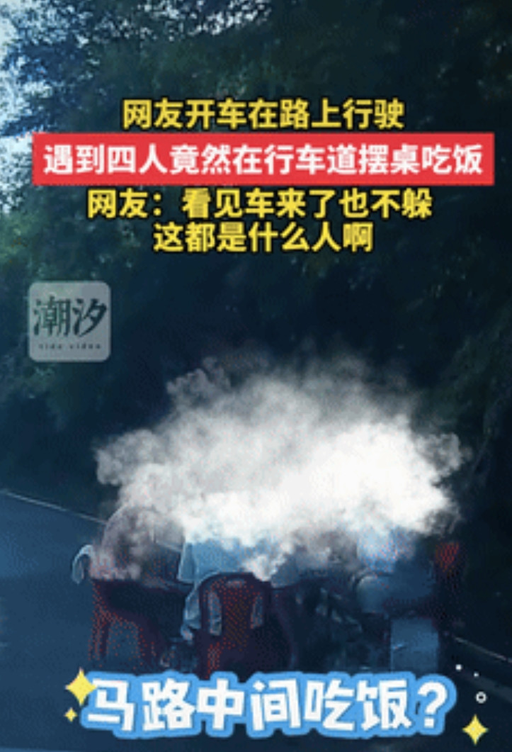 胆子可真大！河南，一司机开车经过弯道时，突然发现前方路上有一团黑影，以为是障碍物