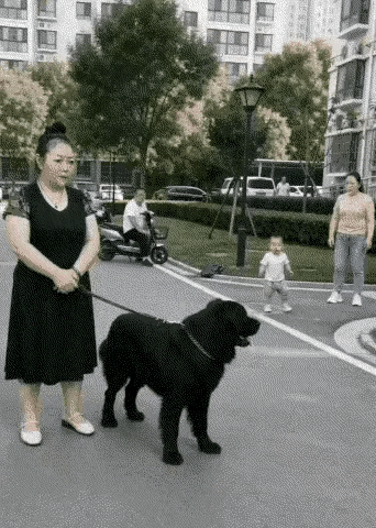 有没有眼尖的看一下，这是ai还是真实的？