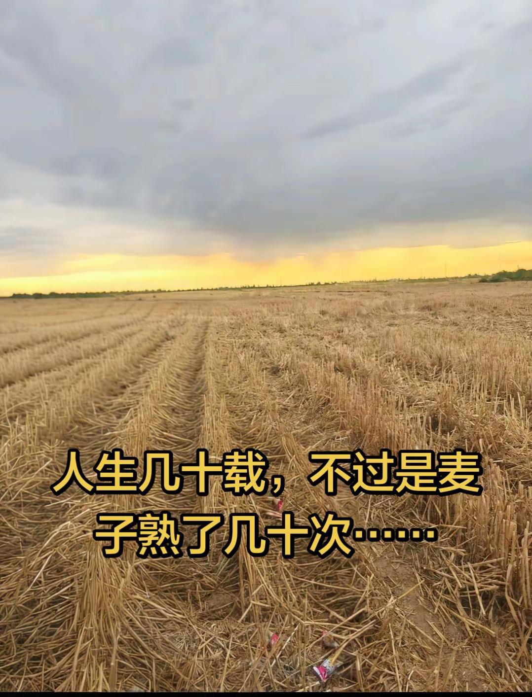 人生几十载，不过是麦子熟了几十次……