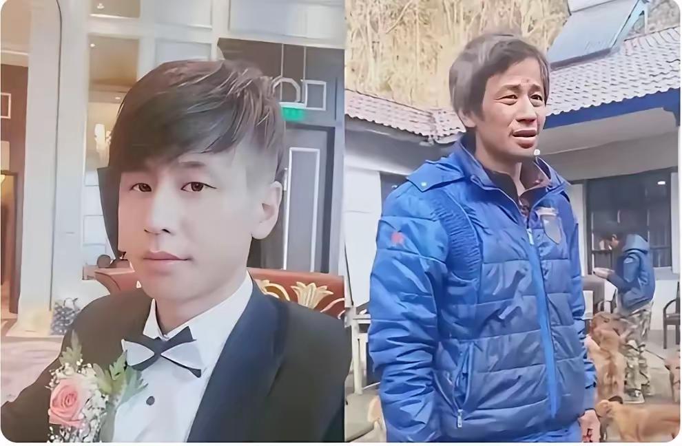 2007年，上海富家公子郁雷鸣爱犬走失，在寻找爱犬途中，他遇到一只车祸受伤的小狗