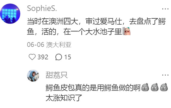 天，审计盘点有苦是真说呀😦