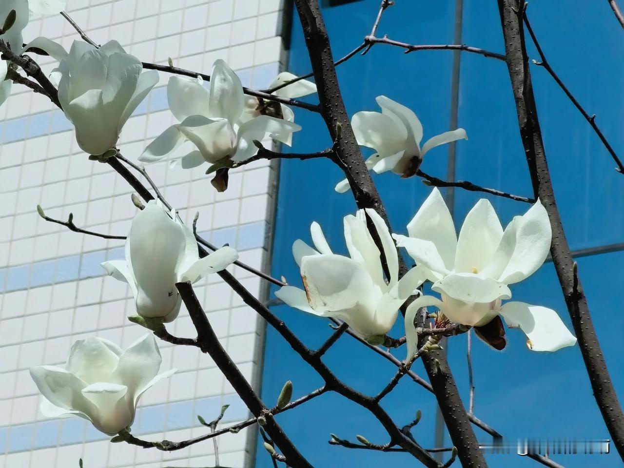 发现没？五十多岁的女教师👩🏻‍🏫真的“挺厉害👍🏻″！[比心]师专毕业