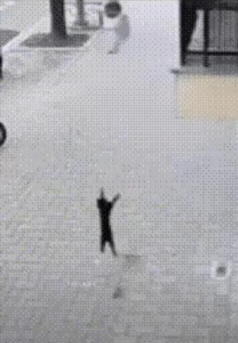 一个婴儿从高楼坠落,竟被路过的黑色流浪猫奋力接住,缓冲了速度后孩子安然无恙!这一