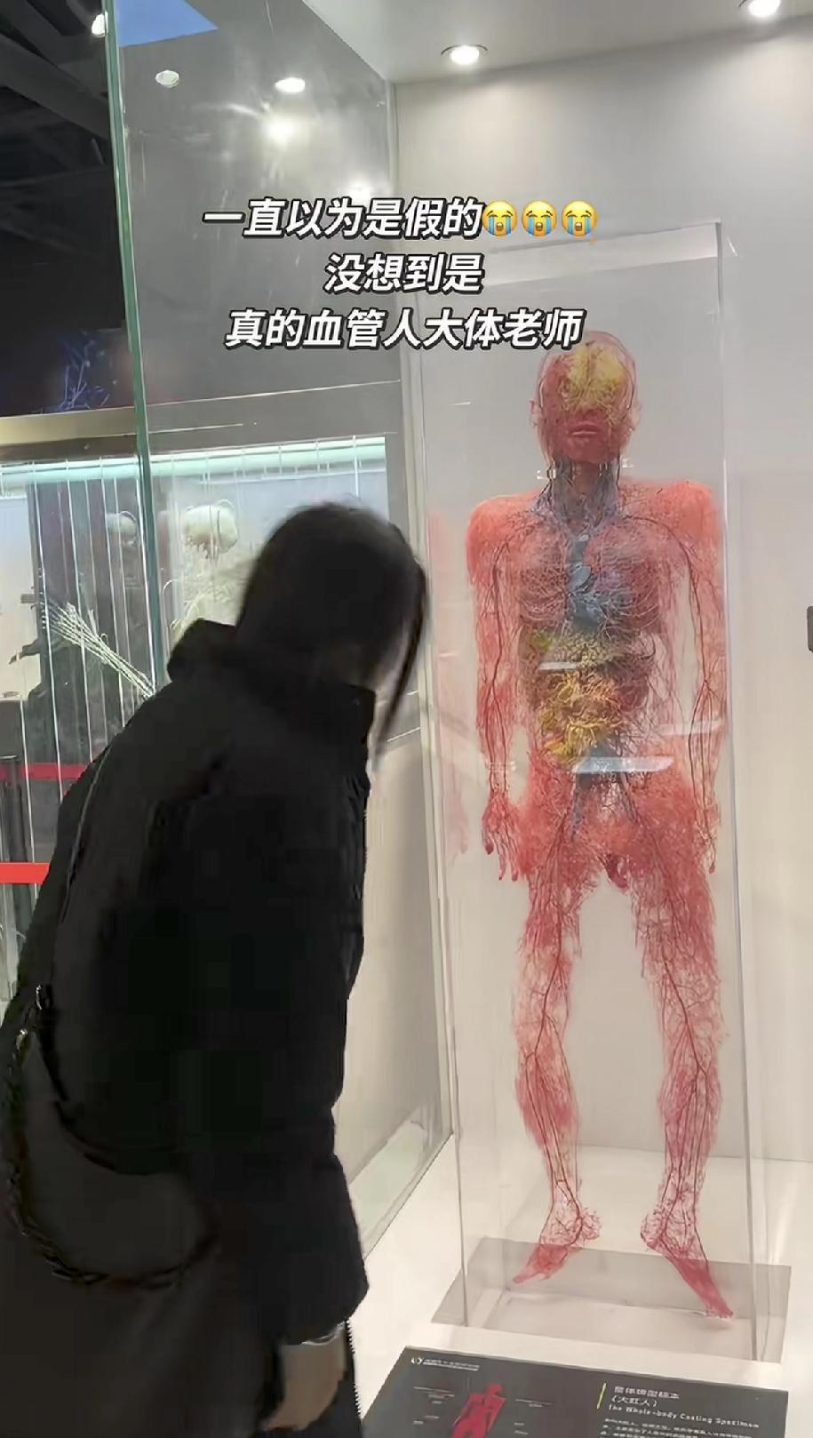 第一次看到人体全身大小血管的大体老师，真的是令人震惊，也真的是令人…给他鞠个躬