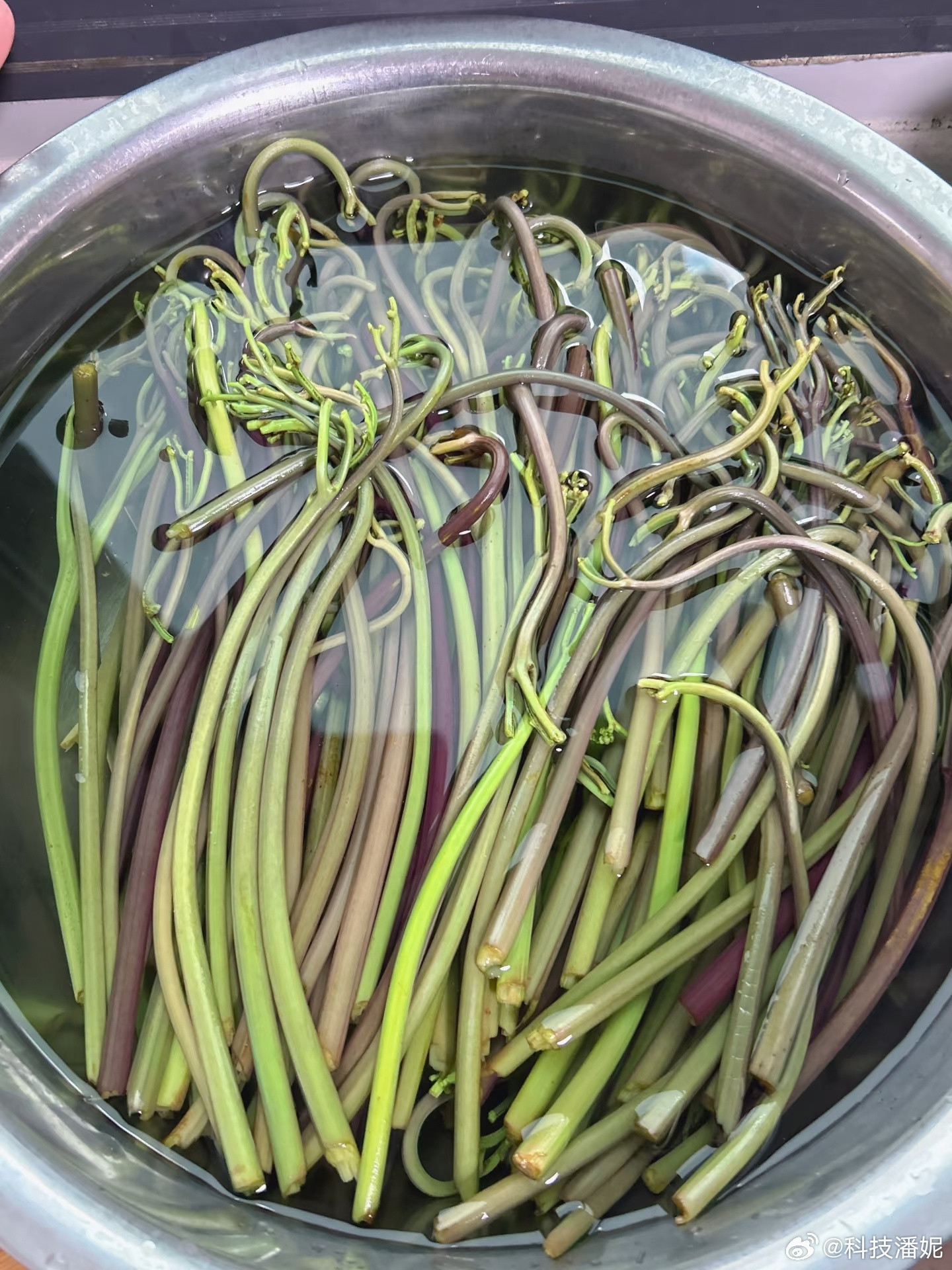 各地春日寻味地图上新终于赶上在假期的最后一天吃上了“春天”，还记得小时候，都吃过