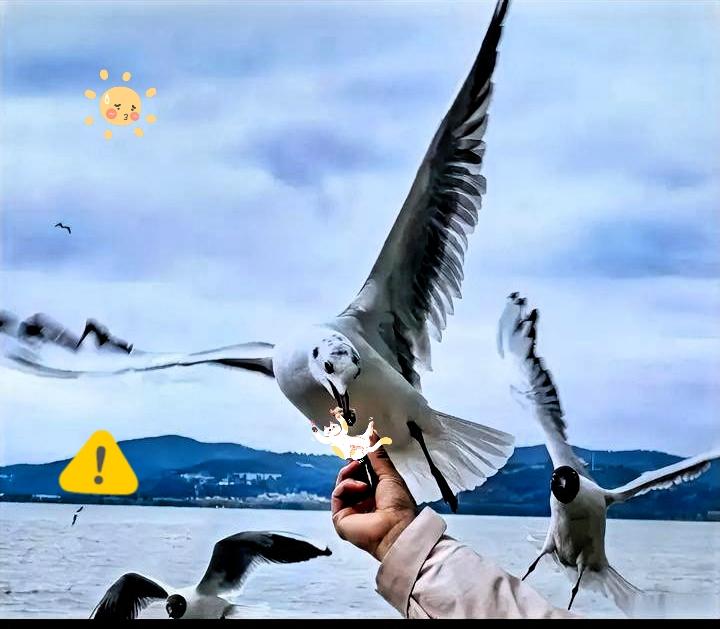 都在说，美国要收手了，准备坐下来和谈了。我告诉你，这才是最危险的信号。近期