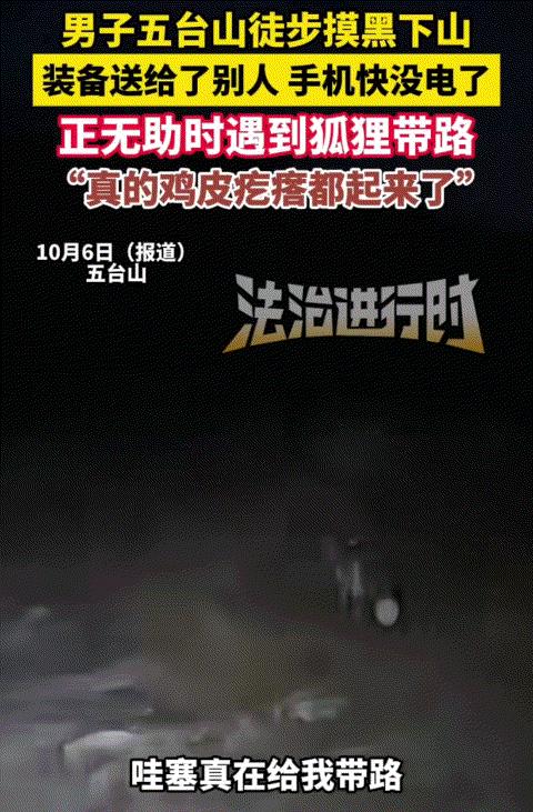 “太有灵性了！”山西五台山，男子徒步摸黑下山，怕走不出去。突然遇到狐狸给他带路，