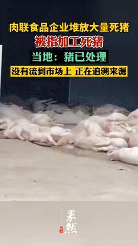 死猪堆积疑加工,食品安全的底线岂能这般试探?“广东罗定一肉联厂堆大量死猪,