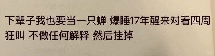 下辈子一定把这辈子的怨气全叫出来
