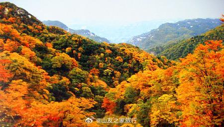 【光雾山】光雾山位于四川省巴中市南江县北部，是一方神奇秀丽的自然山水，地形复杂，