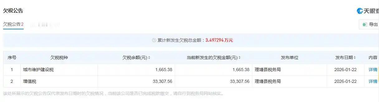 槽点拉满！1.27丁真工作室欠税甩锅财务人员3.4万税款都能欠，还把锅全甩给