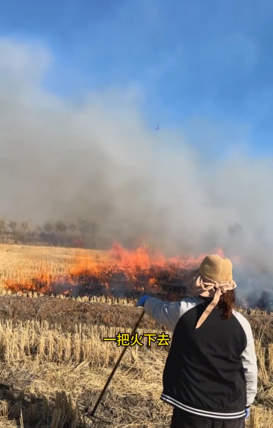 在东北这叫放荒，你有多少年没见过了？东北老铁在地里点的这把火，直接把网友直接开锅