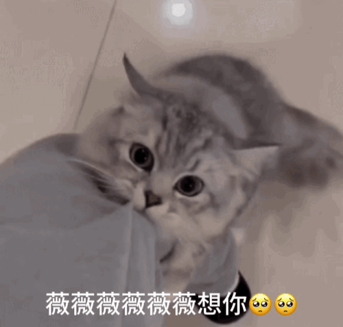 想老公了​​​