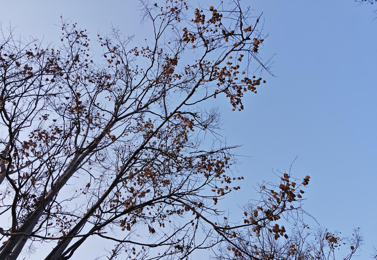 我妈和嫂子是一对冤家！而这一次，我妈骤然“失明”，不得不夸夸我嫂，对老太太既往不