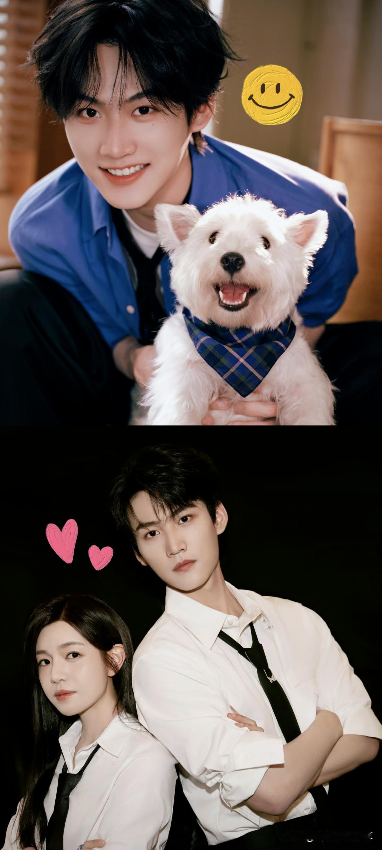 宝妈们已经意识到了，追剧要的不是大叔，而是周柯宇这种让人脸红心跳的小奶狗！