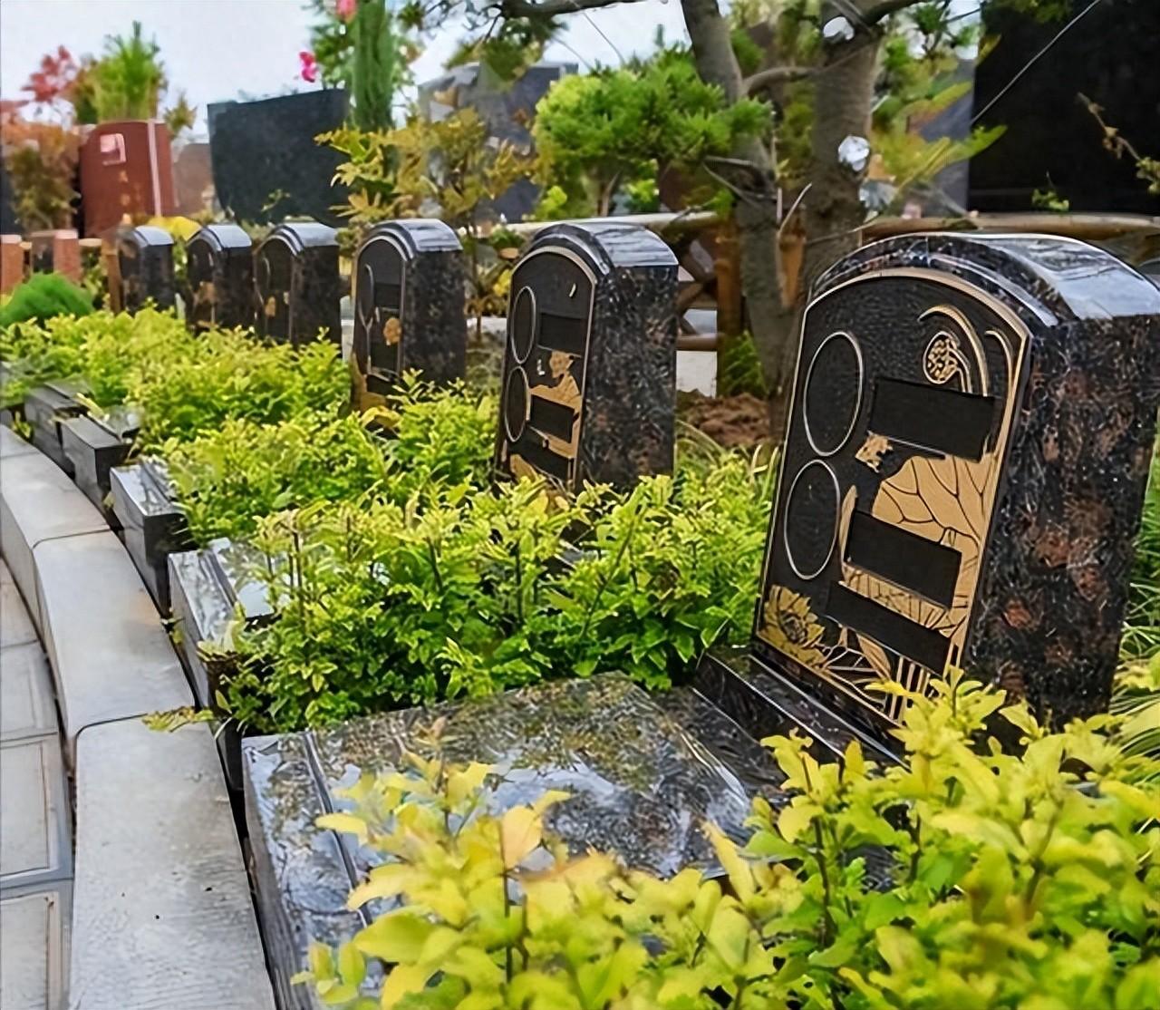 “天价墓地”变天？亏损上亿却无人问津，“死不起”终究成了现实.我觉得这事儿特别