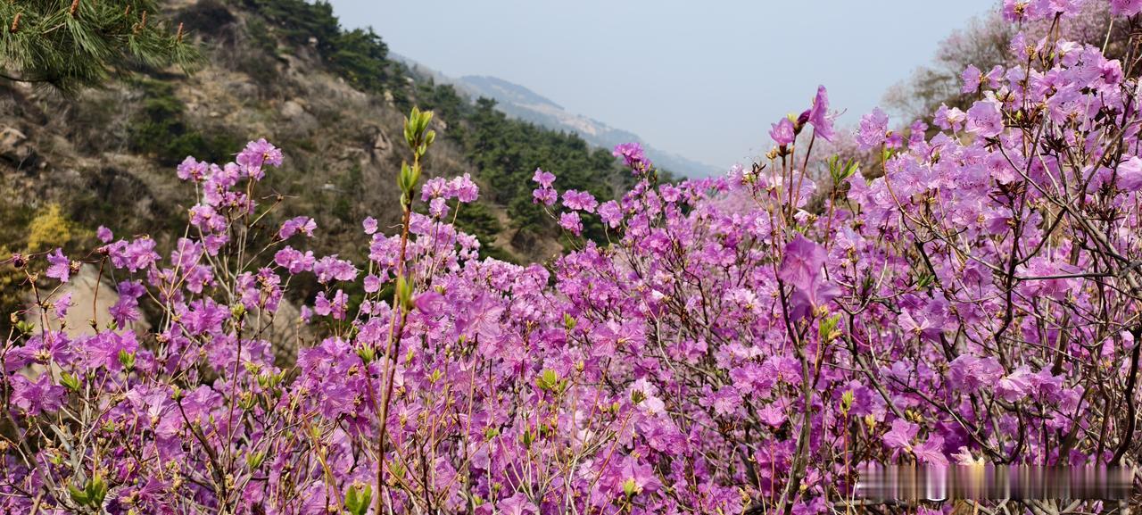 离职退群写小作文的人，后来都成了前同事酒桌上的笑话前公司有个同事离职，退群前