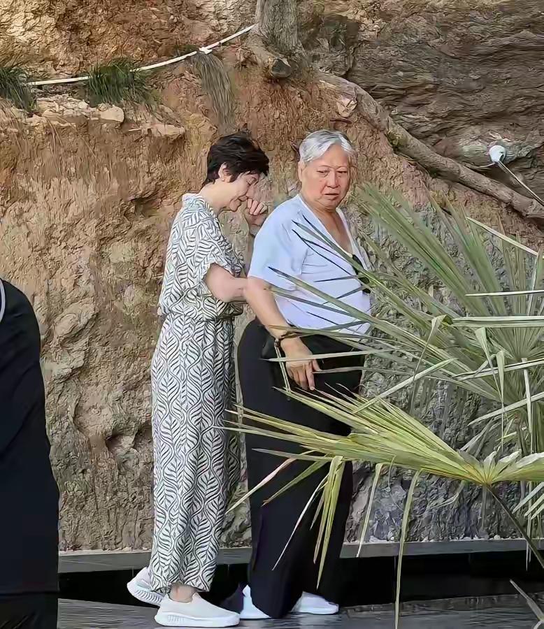 洪金宝高丽虹夫妻照